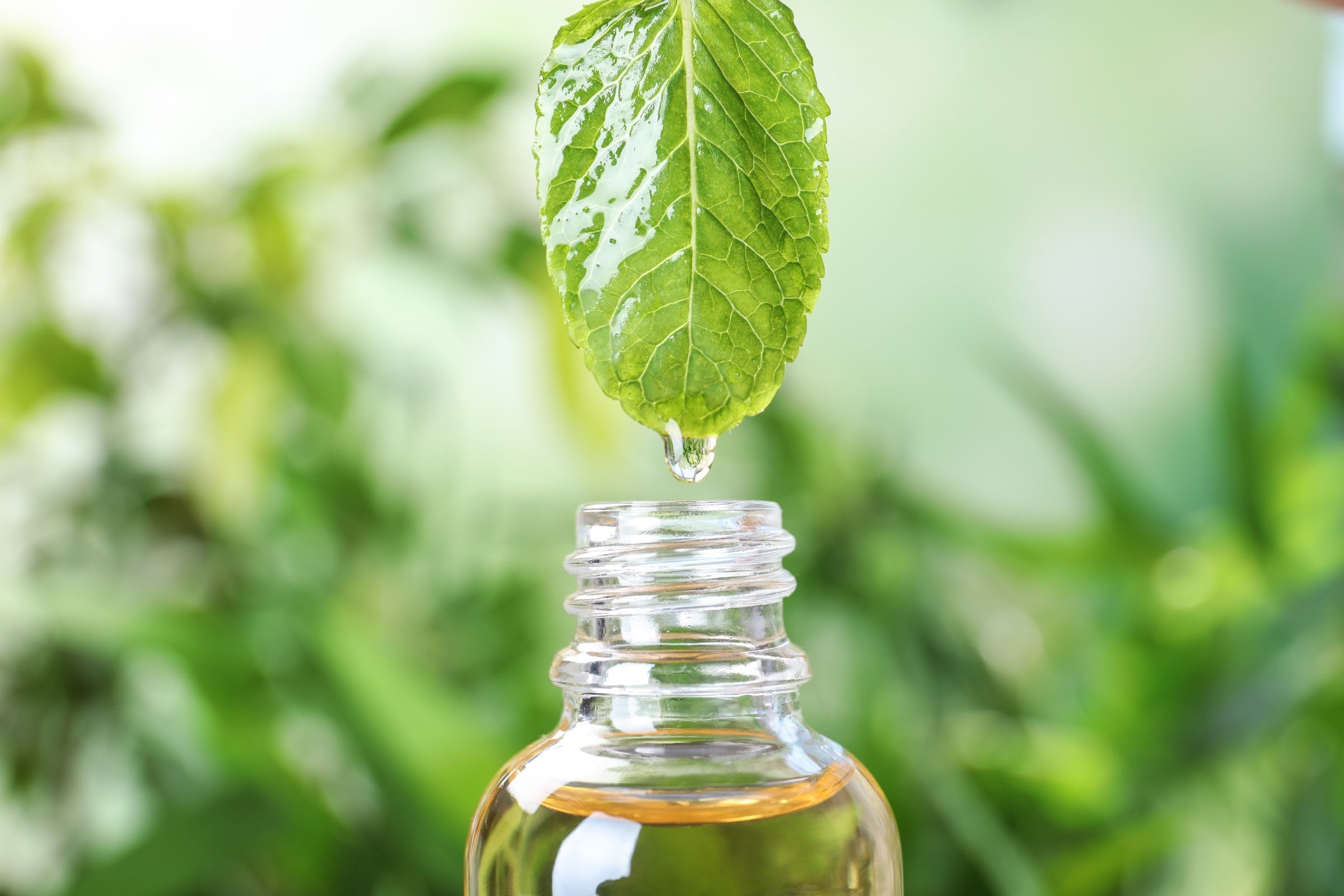 Tub Therapy | Mint Magic: The Benefits of Peppermint Essential Oil